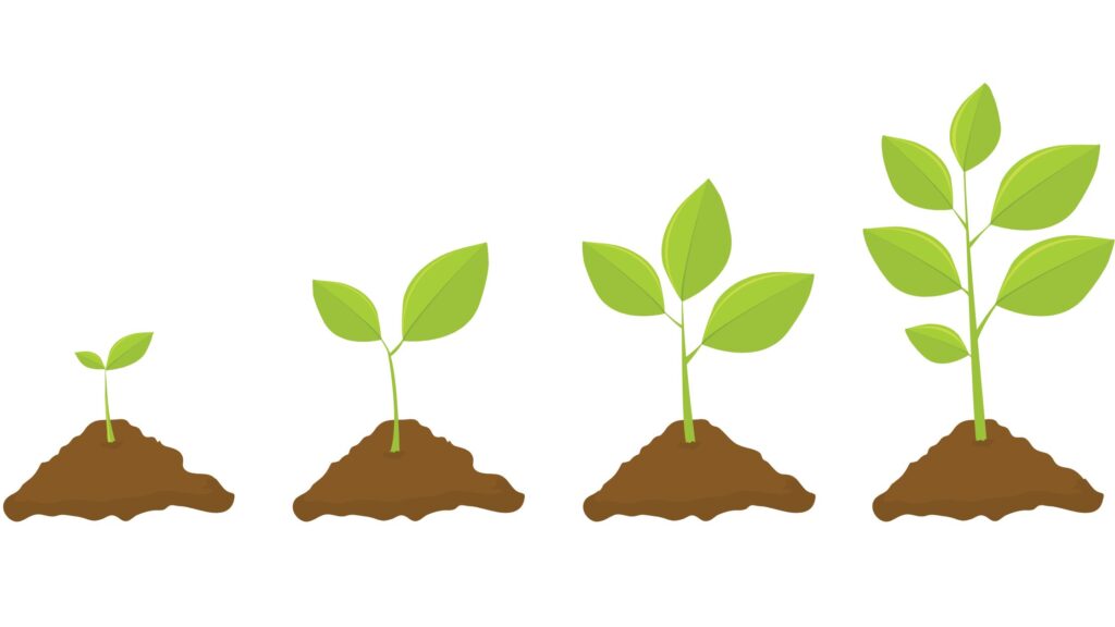 Nutrients in the soil can be optimized using fertilizers.