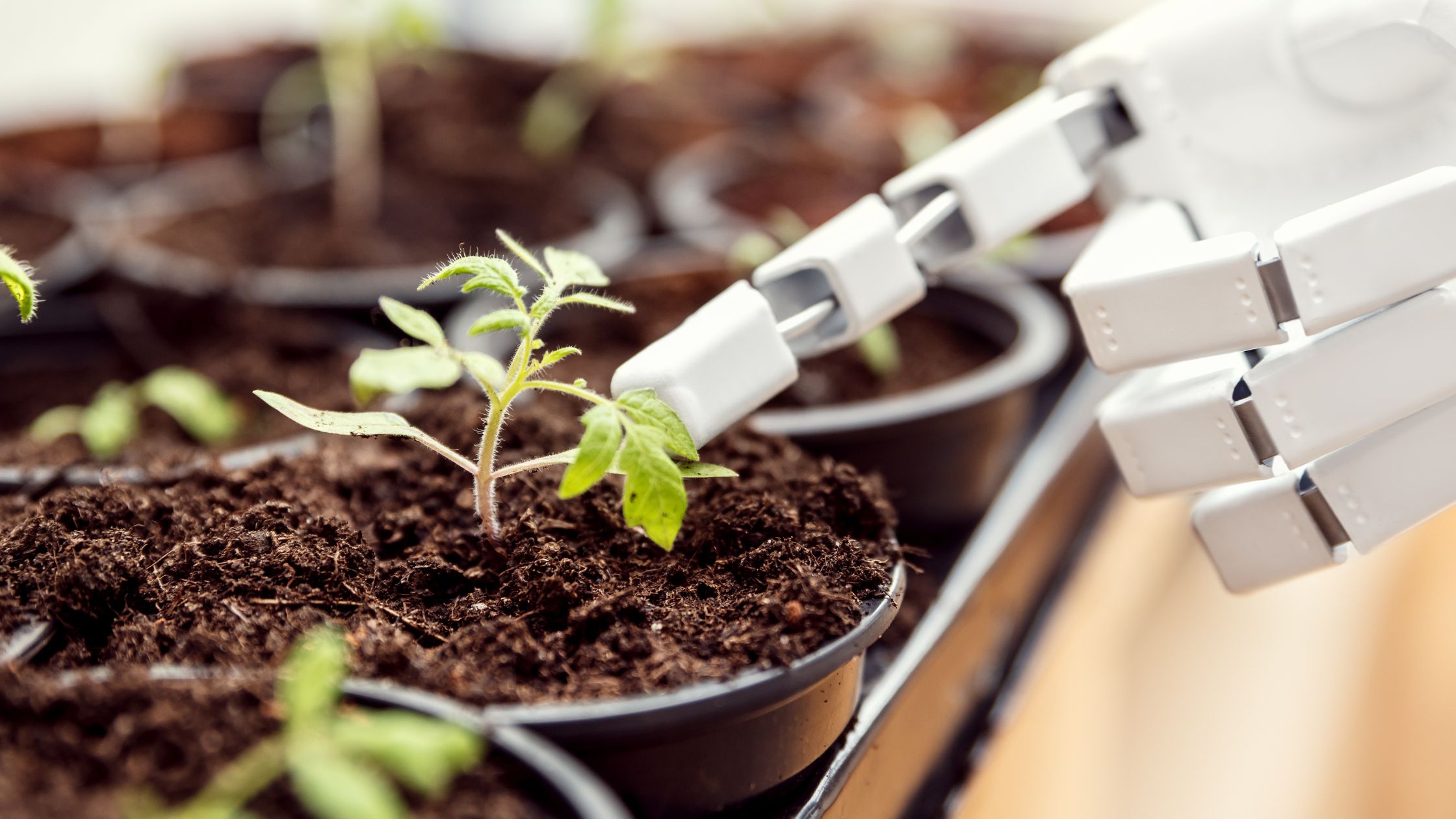 Trends 2025: Neue Technologien im Indoor-Growing